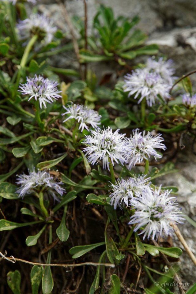 20150514_0028